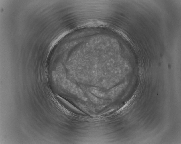 X0000067461018200605051616