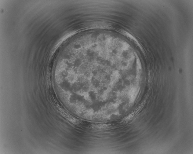 X0000067461019200605051616