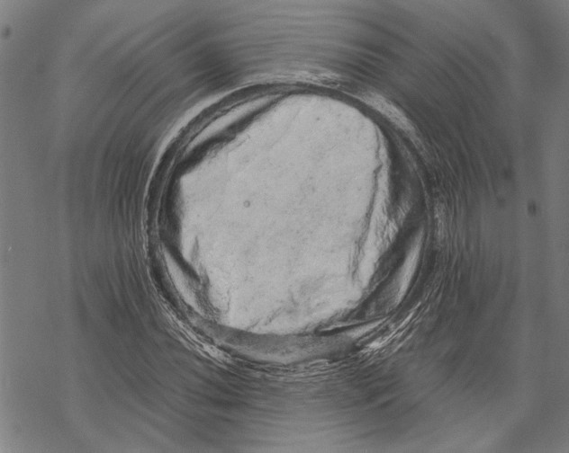 X0000067461020200605051616