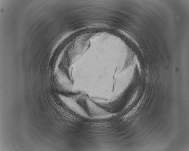 X0000067461021200605051616