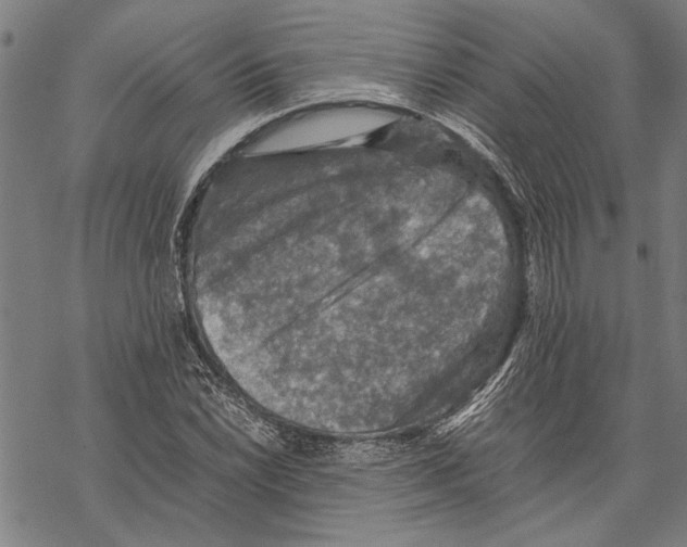 X0000067461022200605051616