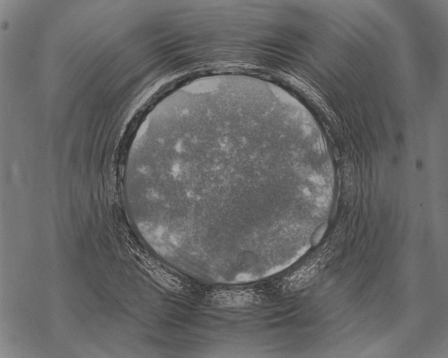 X0000067461023200605051616