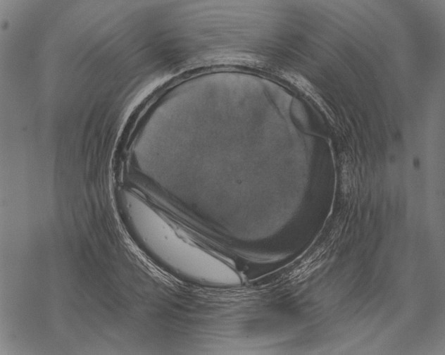 X0000067461024200605051616