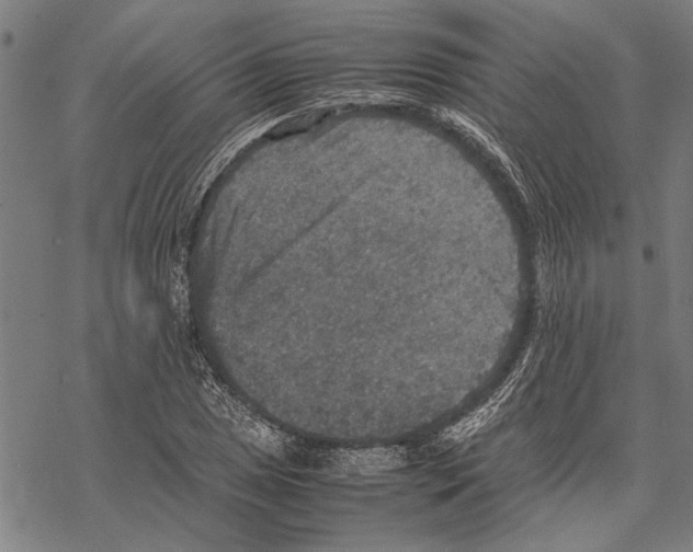 X0000067461025200605051616