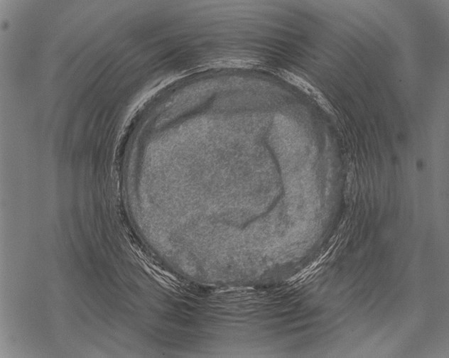 X0000067461027200605051616