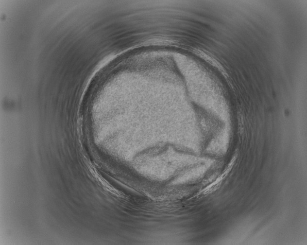 X0000067461029200605051616