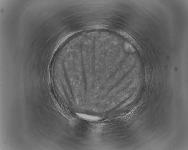 X0000067461031200605051616