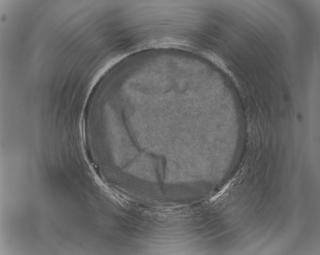 X0000067461032200605051616