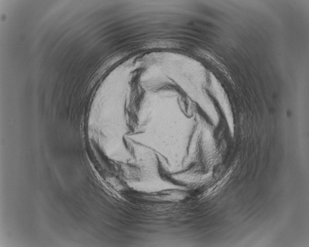 X0000067461033200605051616