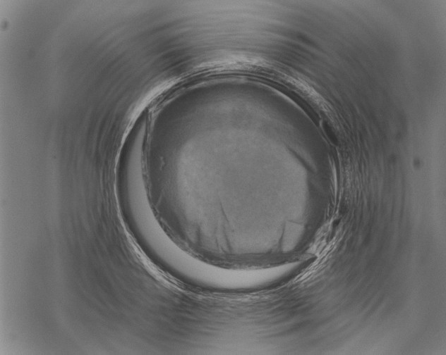 X0000067461034200605051616