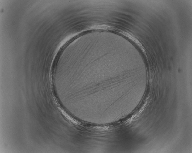 X0000067461037200605051617