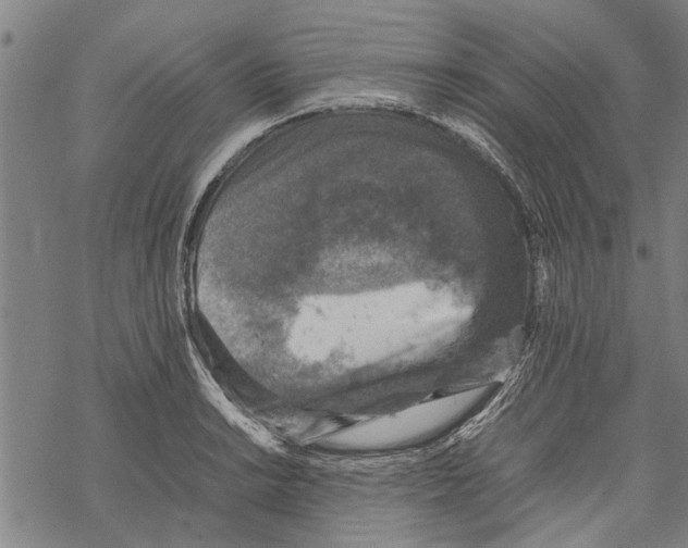 X0000067461038200605051617