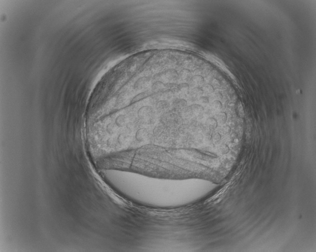 X0000067461040200605051617