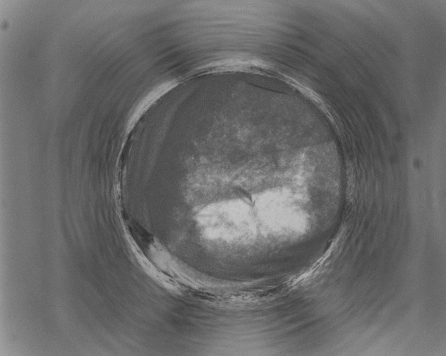 X0000067461042200605051617