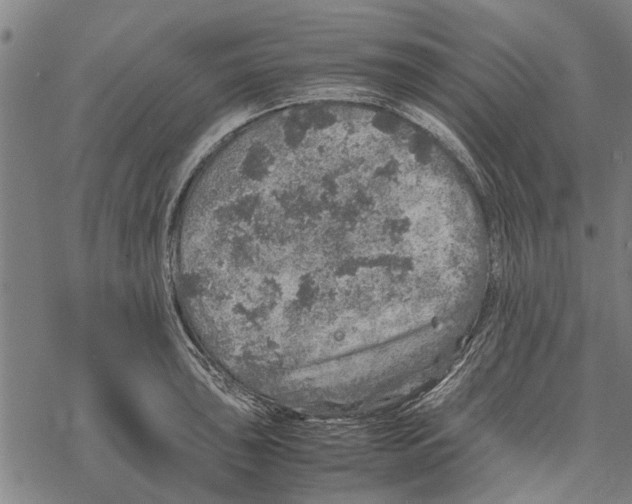 X0000067461043200605051617