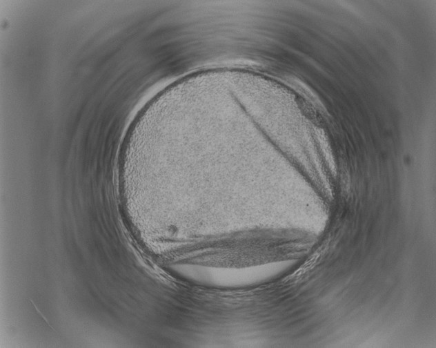 X0000067461044200605051617