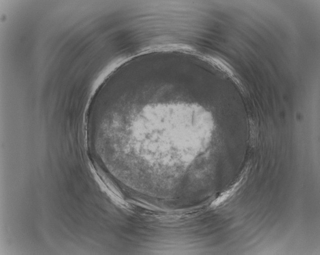 X0000067461046200605051617