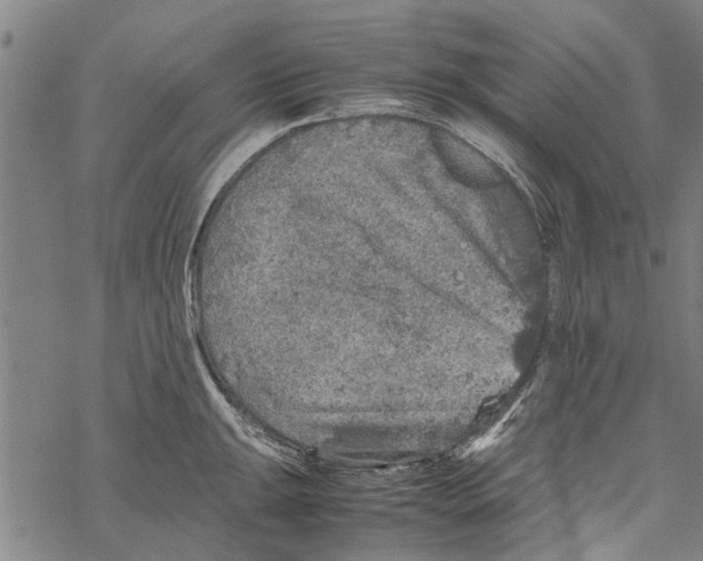 X0000067461047200605051617