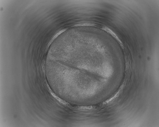 X0000067461049200605051617