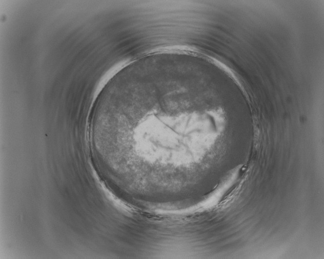 X0000067461050200605051617