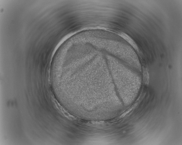 X0000067461052200605051617