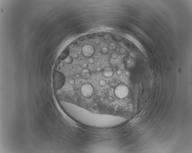 X0000067461055200605051617