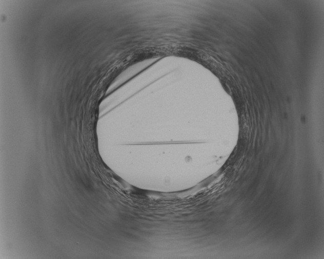 X0000067461057200605051616