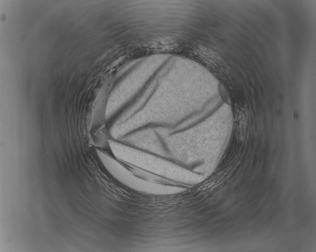 X0000067461058200605051616