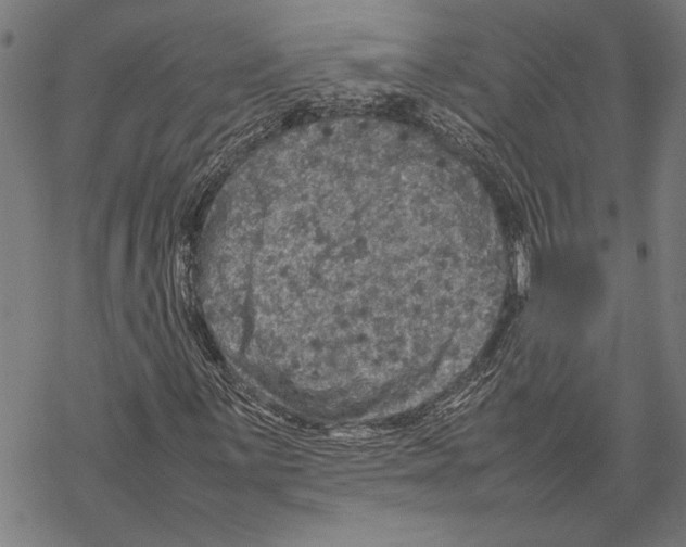 X0000067461059200605051616