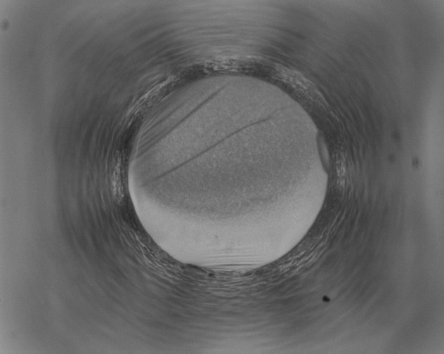 X0000067461060200605051616