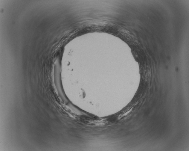 X0000067461061200605051616