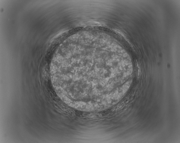 X0000067461063200605051616