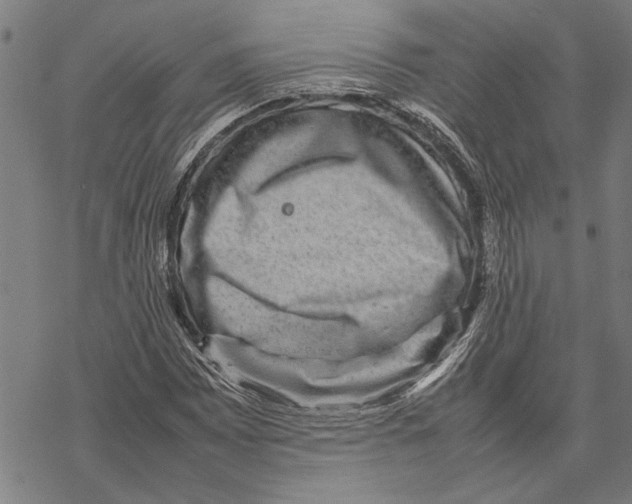 X0000067461065200605051616