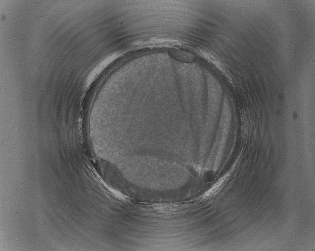 X0000067461066200605051616