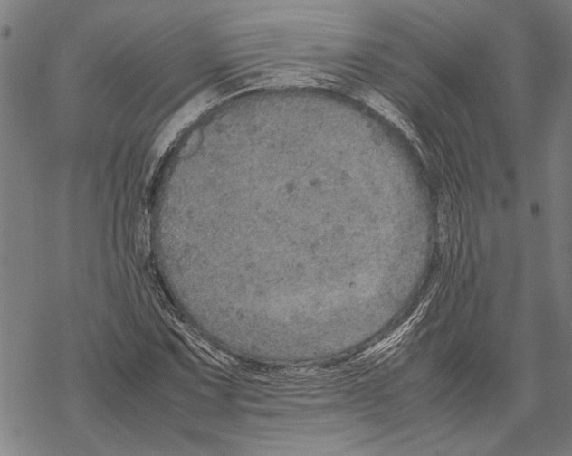 X0000067461067200605051616