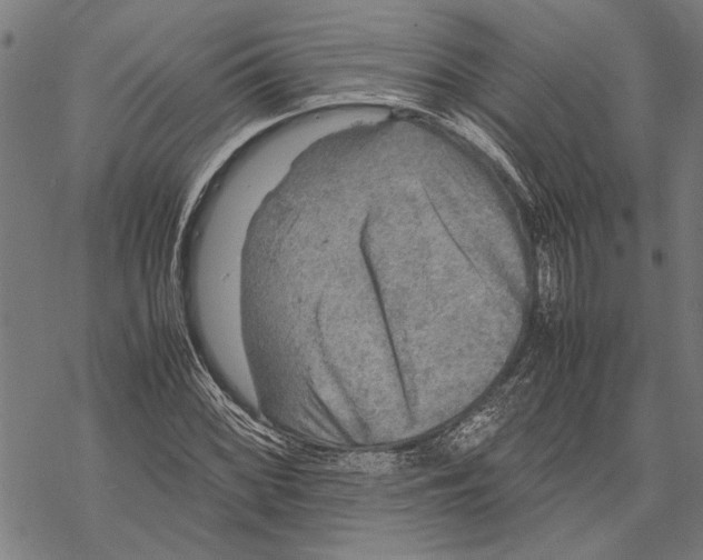 X0000067461068200605051616