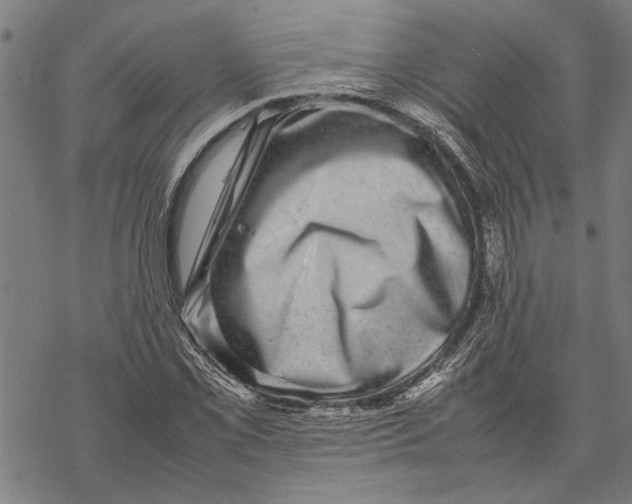 X0000067461069200605051616