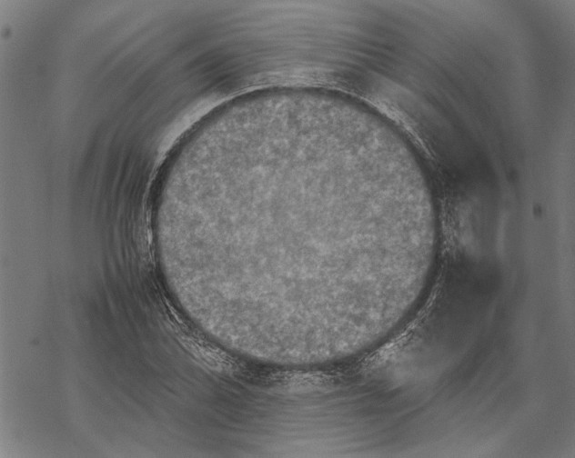 X0000067461070200605051616