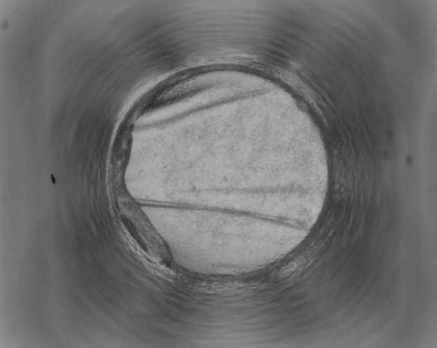 X0000067461072200605051616