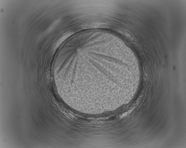 X0000067461073200605051616