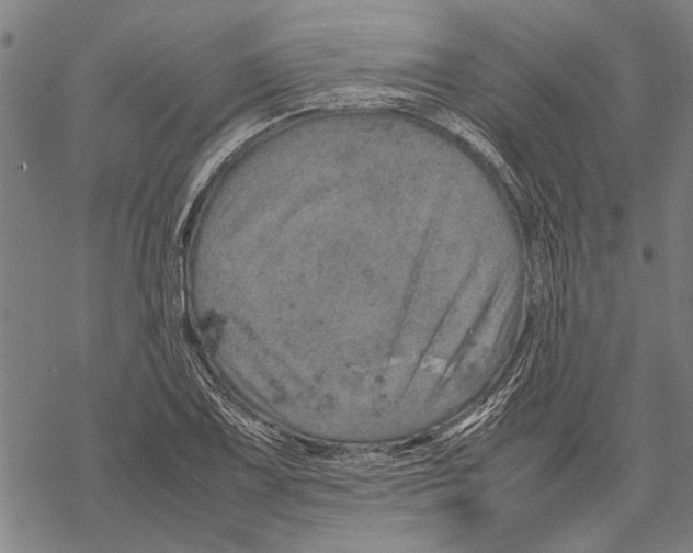 X0000067461075200605051616