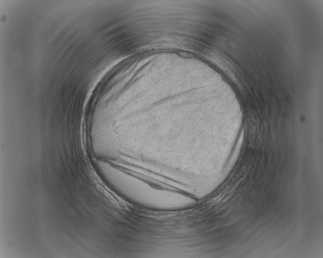 X0000067461076200605051616