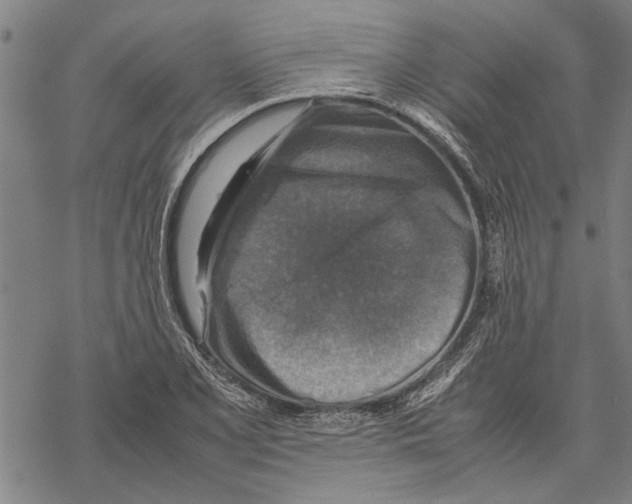 X0000067461077200605051616