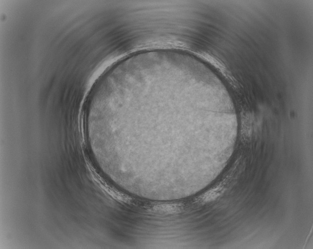 X0000067461078200605051616