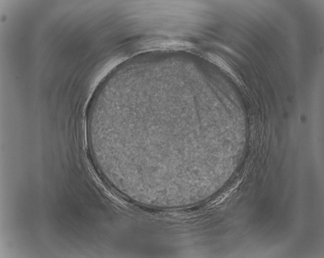 X0000067461079200605051616