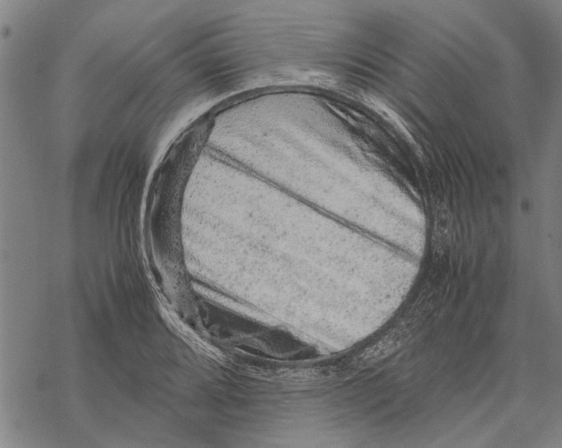 X0000067461080200605051616