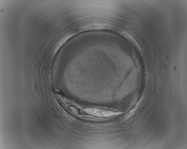 X0000067461081200605051616