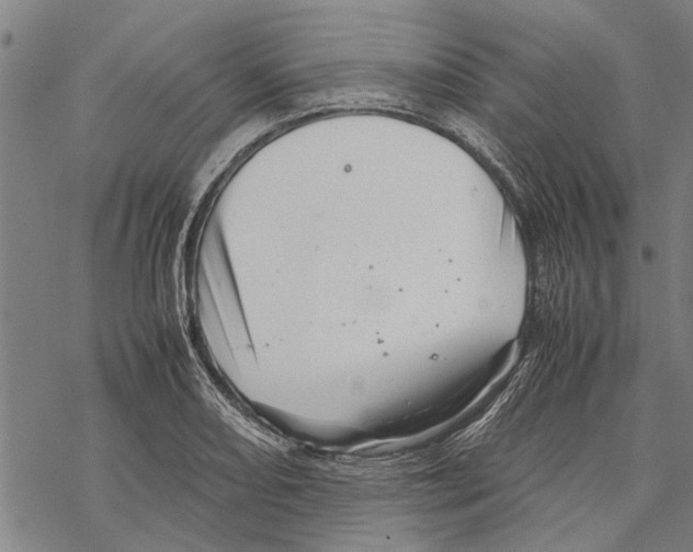 X0000067461082200605051616