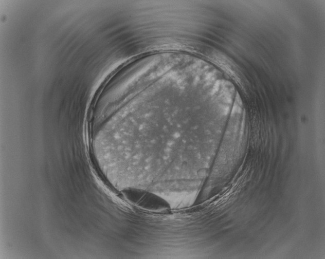 X0000067461084200605051616