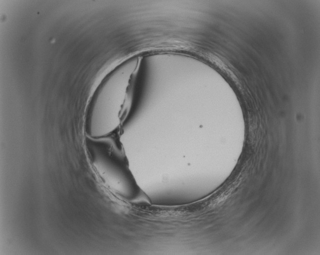 X0000067461085200605051616